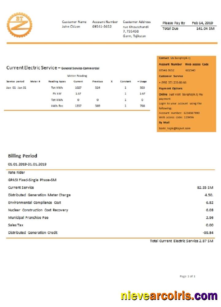 Tajikistan Barqi Tojik Company electricity utility bill